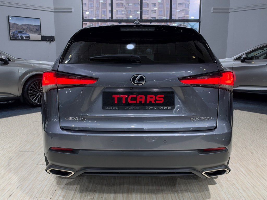 Lexus NX 300, 2.0 L, 2019 il, 32 600 km — Avtomobillər, Bakı (4)