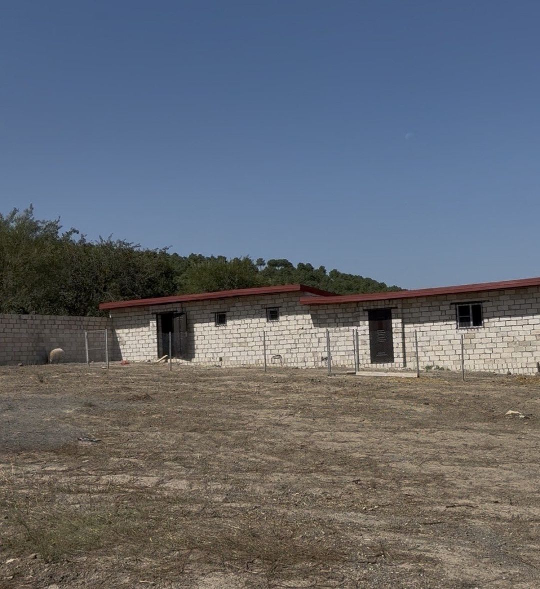 57 sot torpaq sahəsi, Şabran r — Torpaq, Şabran (5)