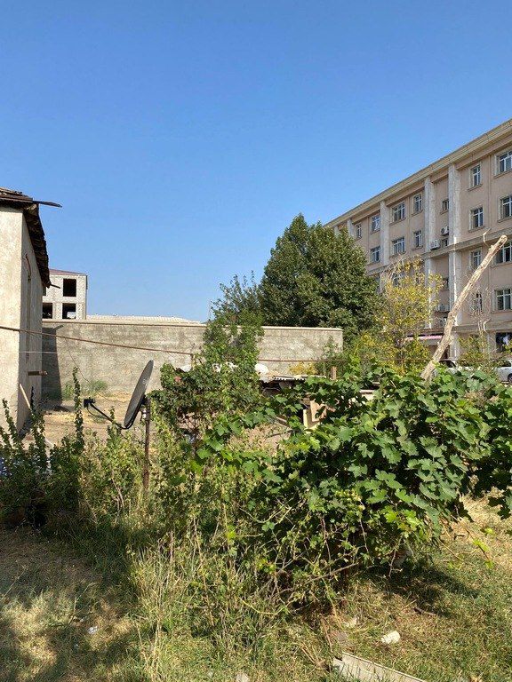 Satılır torpaq 25 sot — Torpaq, Naxçıvan (2)