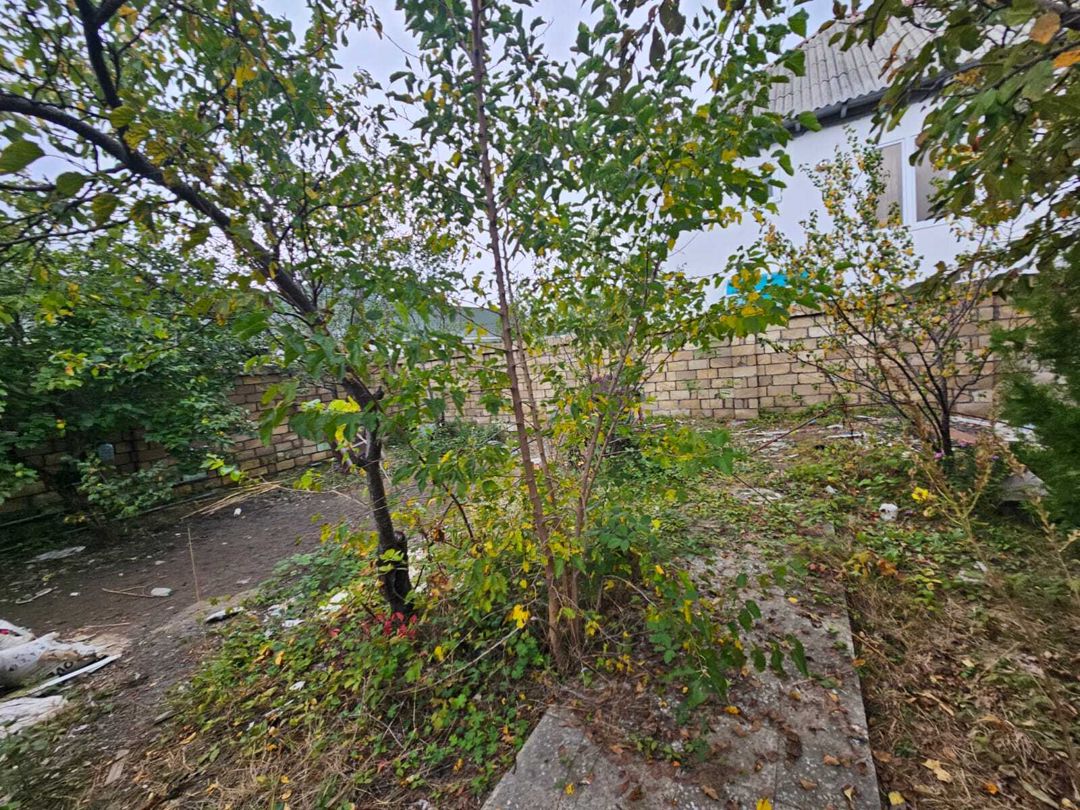Satılır torpaq 4 sot — Torpaq, Qəbələ (4)