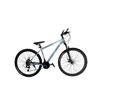 Velosiped Goose, Çin, ayaq dayağı ilə, komplekt: velosiped - Ays-jb 29", boz\G — Bakı