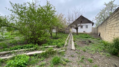 24 sot torpaq sahəsi, Alekseyevka kəndi — Quba