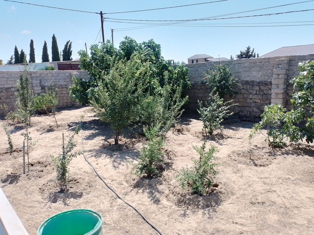 Satılır 4 otaqlı həyət evi/bağ evi 80 m² — Ev, villa, Bakı (8)
