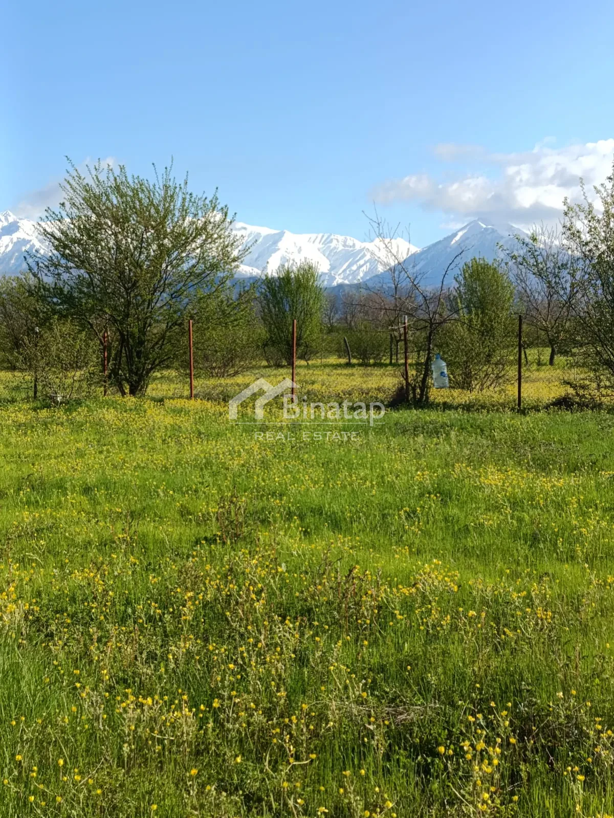 Satılır 2 otaqlı həyət evi / bağ evi 70 m², Qəbələ rayonu — 140 000 ₼ · Bakı · Ev, villa Satılır 2 otaqlı həyət evi / bağ evi 70 m², Qəbələ rayonu — Bakı