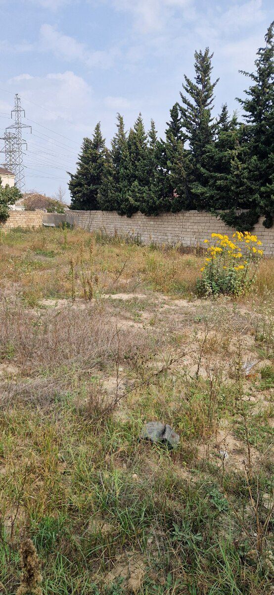 12 sot torpaq sahəsi, Savalan qəs — Torpaq, Bakı (4)