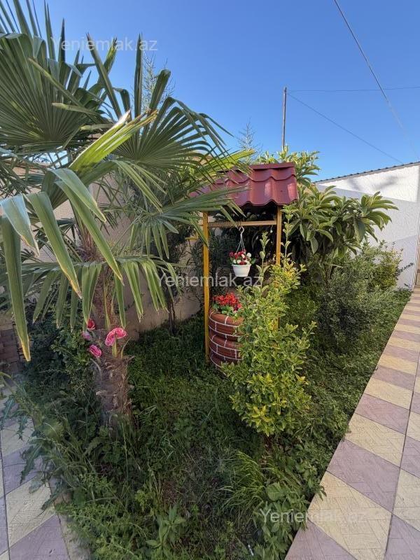 Günlük 3 otaqlı Həyət evi / Villa, 100 m², İsmayıllı — Ev, villa, İsmayıllı (5)