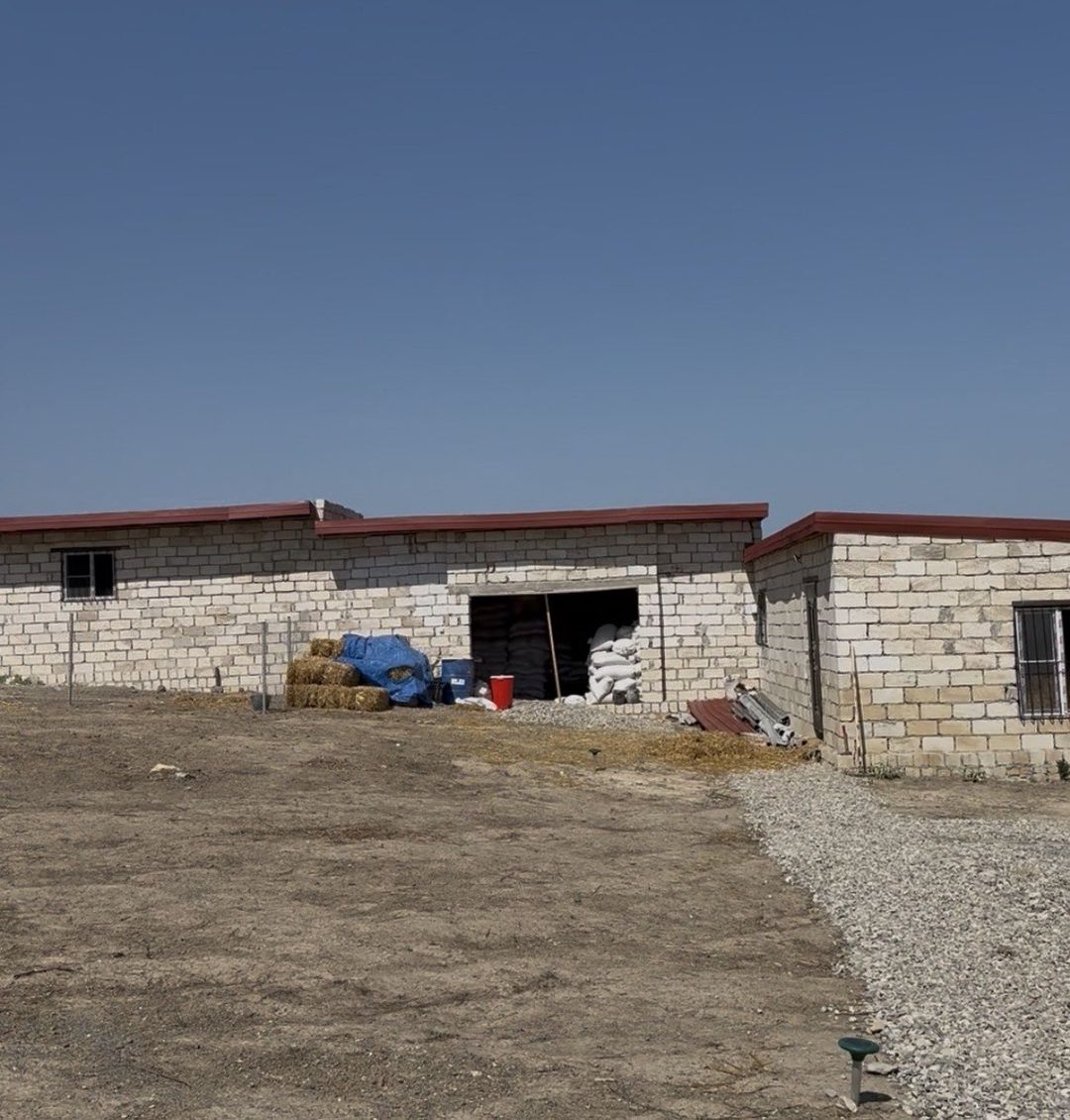 57 sot torpaq sahəsi, Şabran r — Torpaq, Şabran (4)