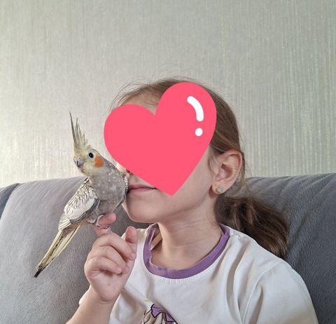Oz qusumun balalaridi iki denedi.Tam el quslaridi.Uc ayligdilar — Digah