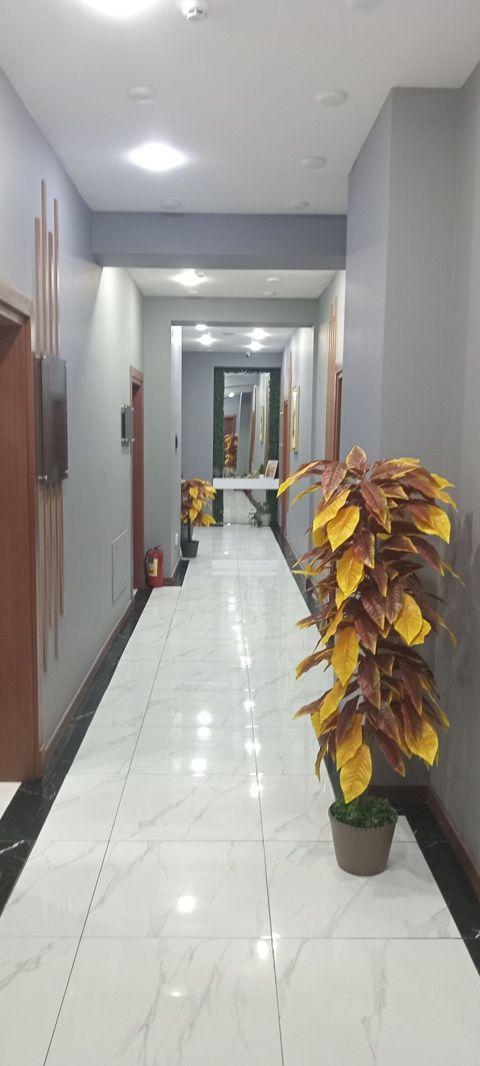 Ofis icarəyə verilir, Azadlıq m — Bakı