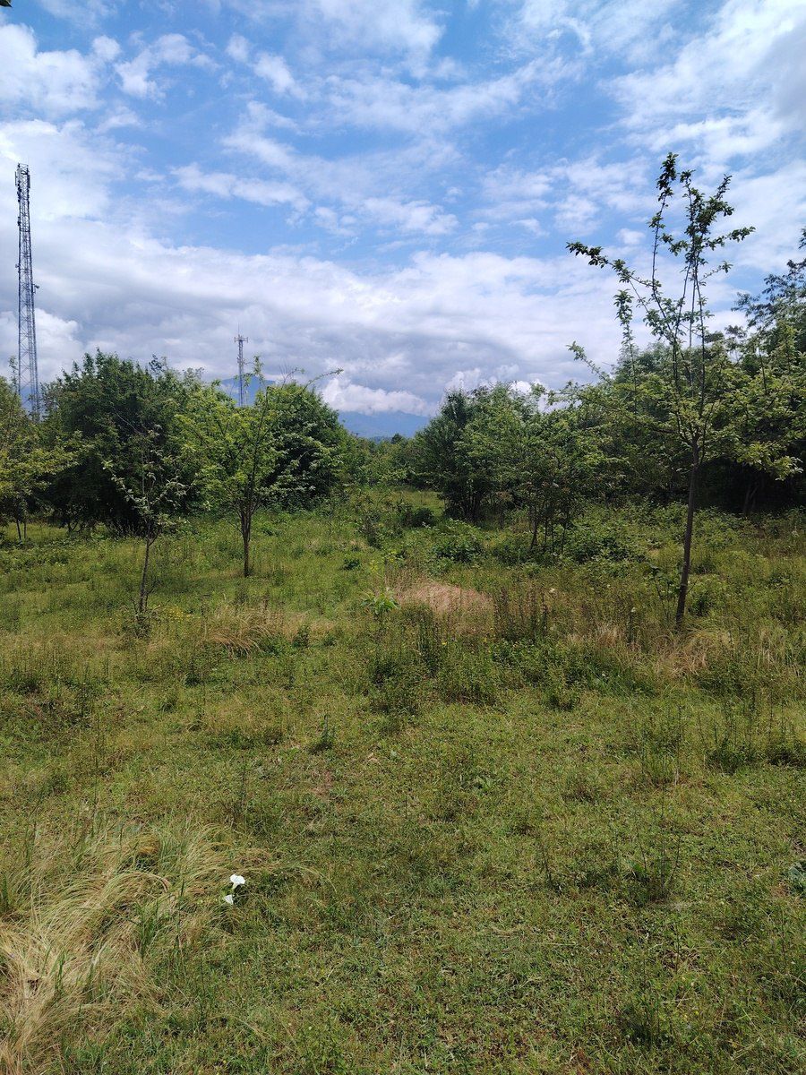 Satılır torpaq 20 sot — Torpaq, Qəbələ (10)