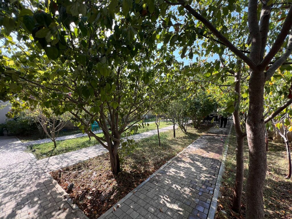 Satılır 8 otaqlı həyət evi/bağ evi 500 m² — Ev, villa, Bakı (11)