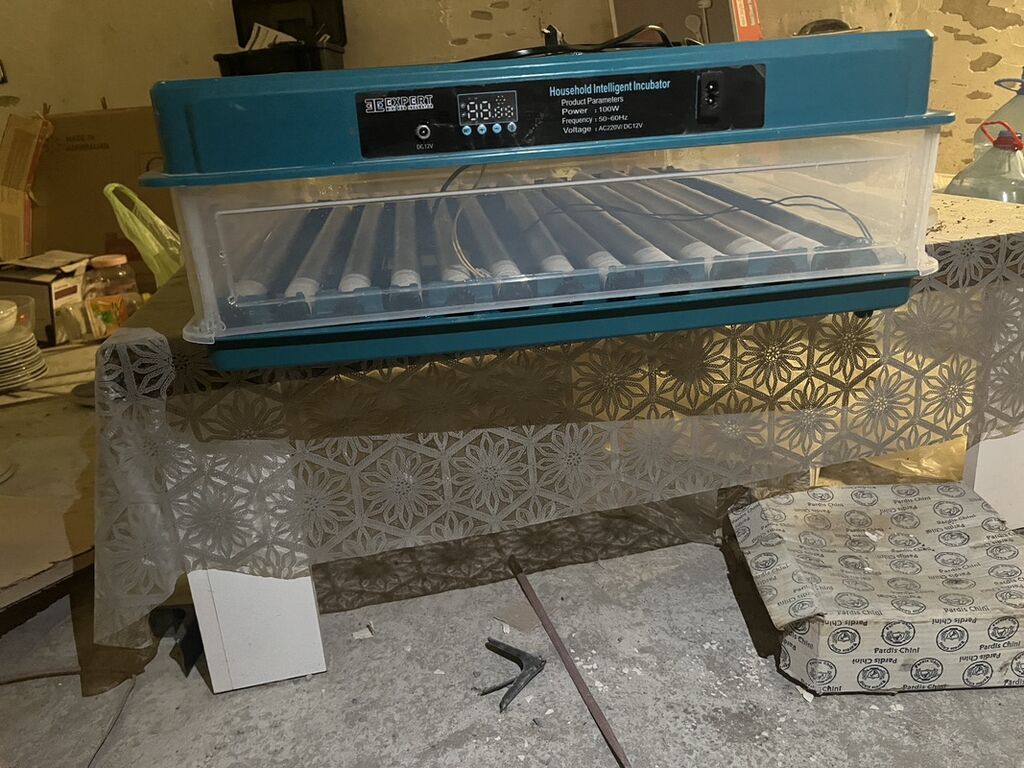 Məhsul: Household Intelligent Incubator – ağıllı ev inkubatoru — Kənd təsərrüfatı avadanlığı, Digah (3)