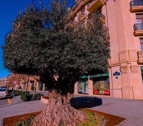 Satılır 2 otaqlı yeni tikili 90 m² — Bakı