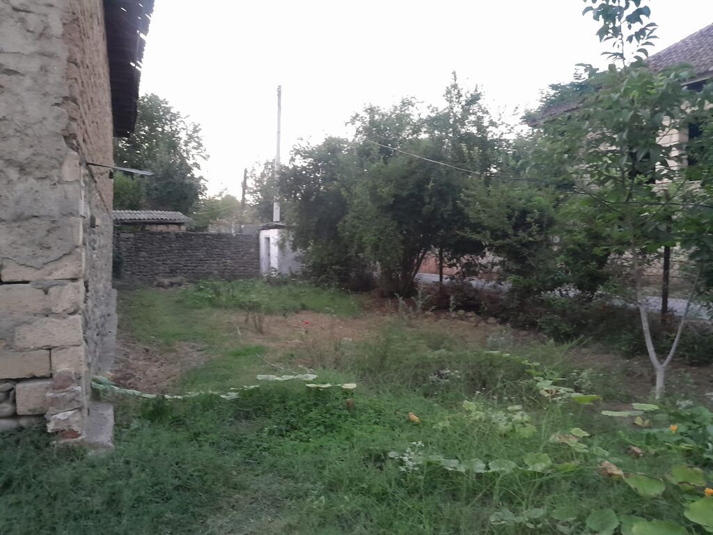 Satılır geniş həyəti var iki lərtəbə köhnə tikili var bağı var əlavə — Ev, villa, Masallı (5)