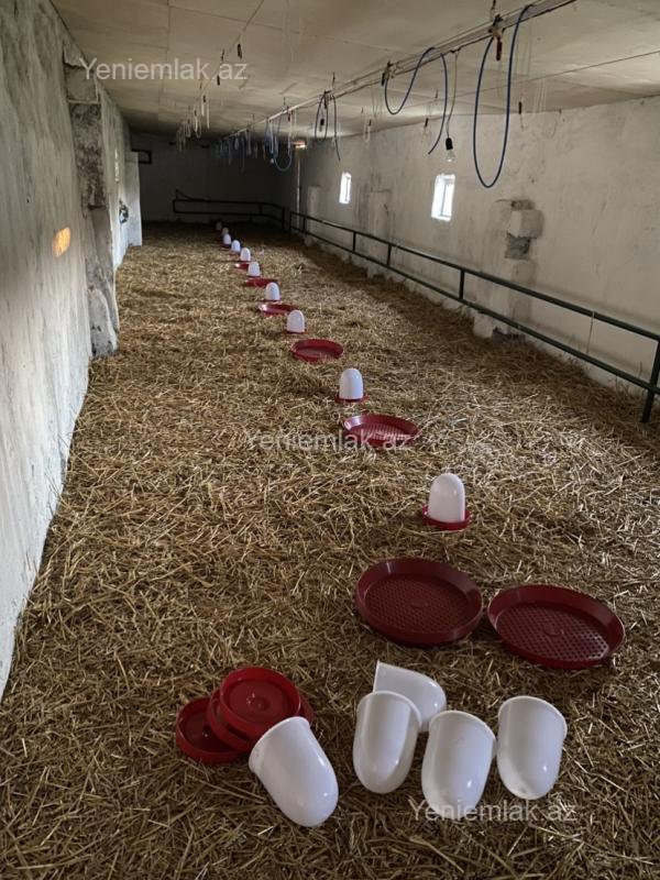 Kirayə 1 otaqlı Obyekt, 550 m², Salyan — Əmlak, Salyan (2)