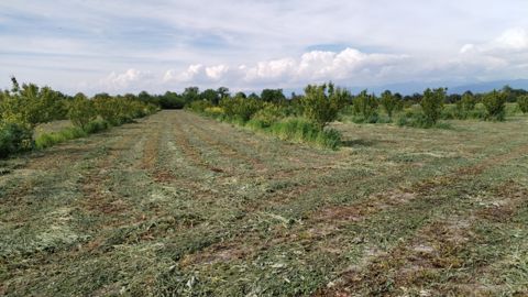 2.67 sot torpaq sahəsi, Qax r — Qax