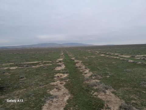 Satılır torpaq 6000 sot — 20 000 000 ₼ · Şirvan · Torpaq Satılır torpaq 6000 sot — Şirvan