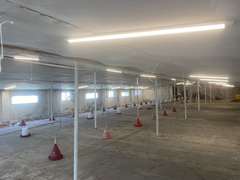 Toyuq ferması icarəyə verilir 8000-dən çox tutuma malikdir 550 kvm-dir — Kənd təsərrüfatı avadanlığı, Sanqaçal (2)