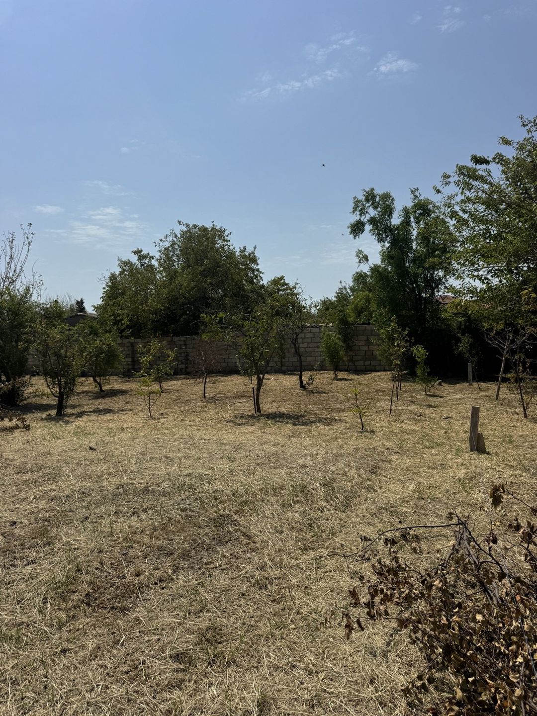 Satılır torpaq 3 sot — Torpaq, Bakı (5)