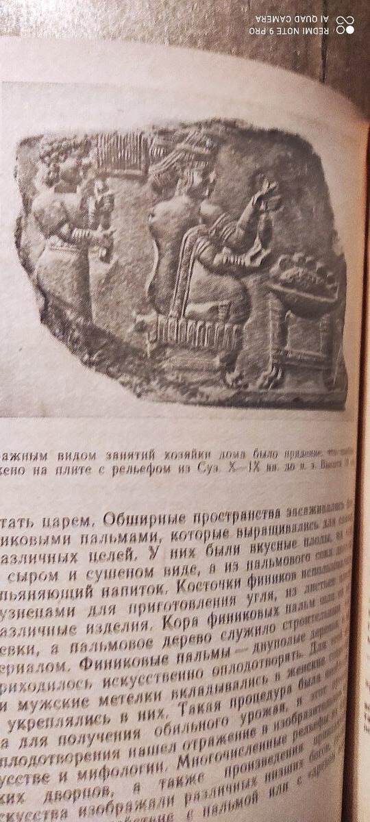 Э.К.Брандт "Путешествие в древний Вавилон" — Kitablar və jurnallar, Bakı (10)