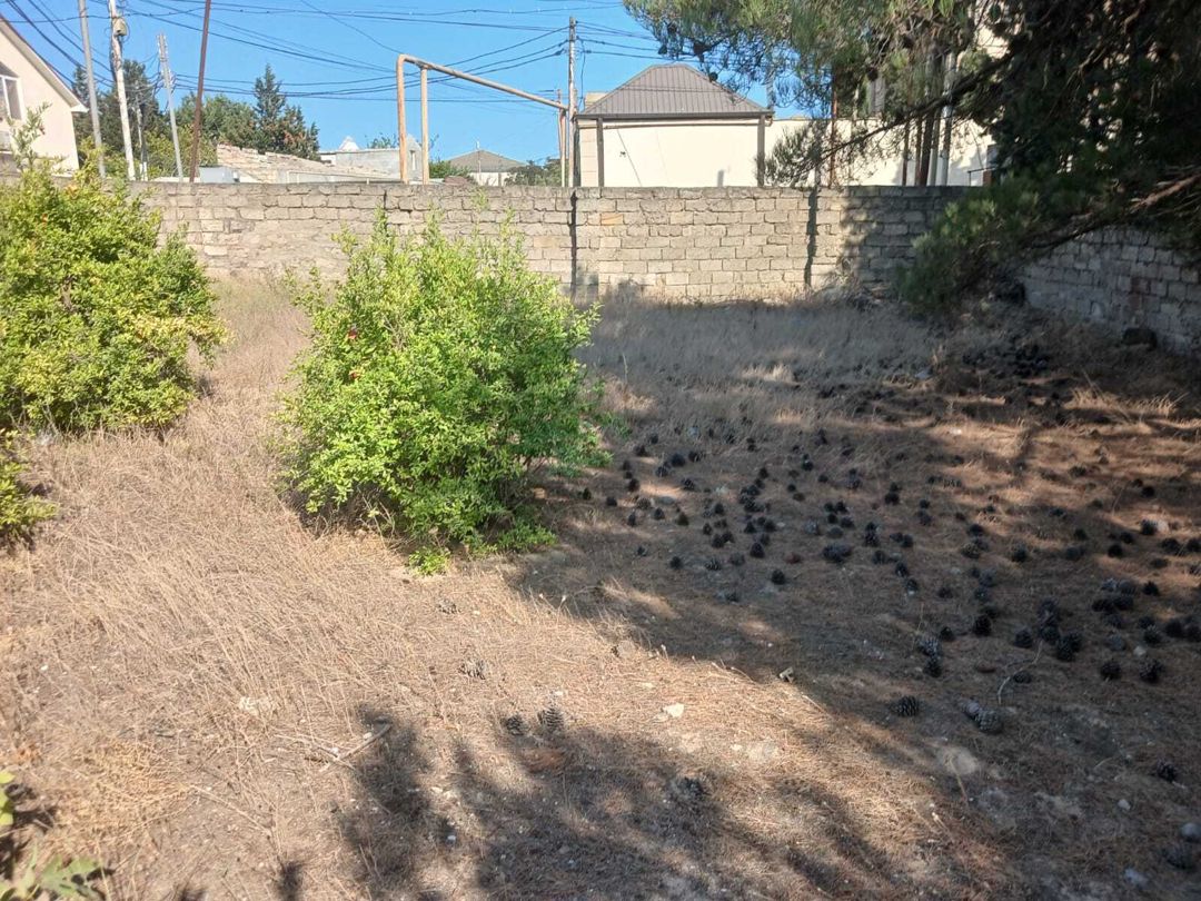 İcarəyə verilir 2 otaqlı həyət evi/bağ evi 2000 m² — Ev, villa, Bakı (3)