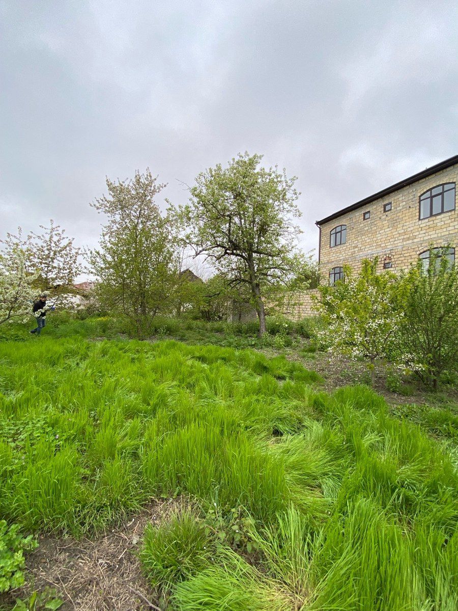 24 sot torpaq sahəsi, Alekseyevka kəndi — Torpaq, Quba (5)