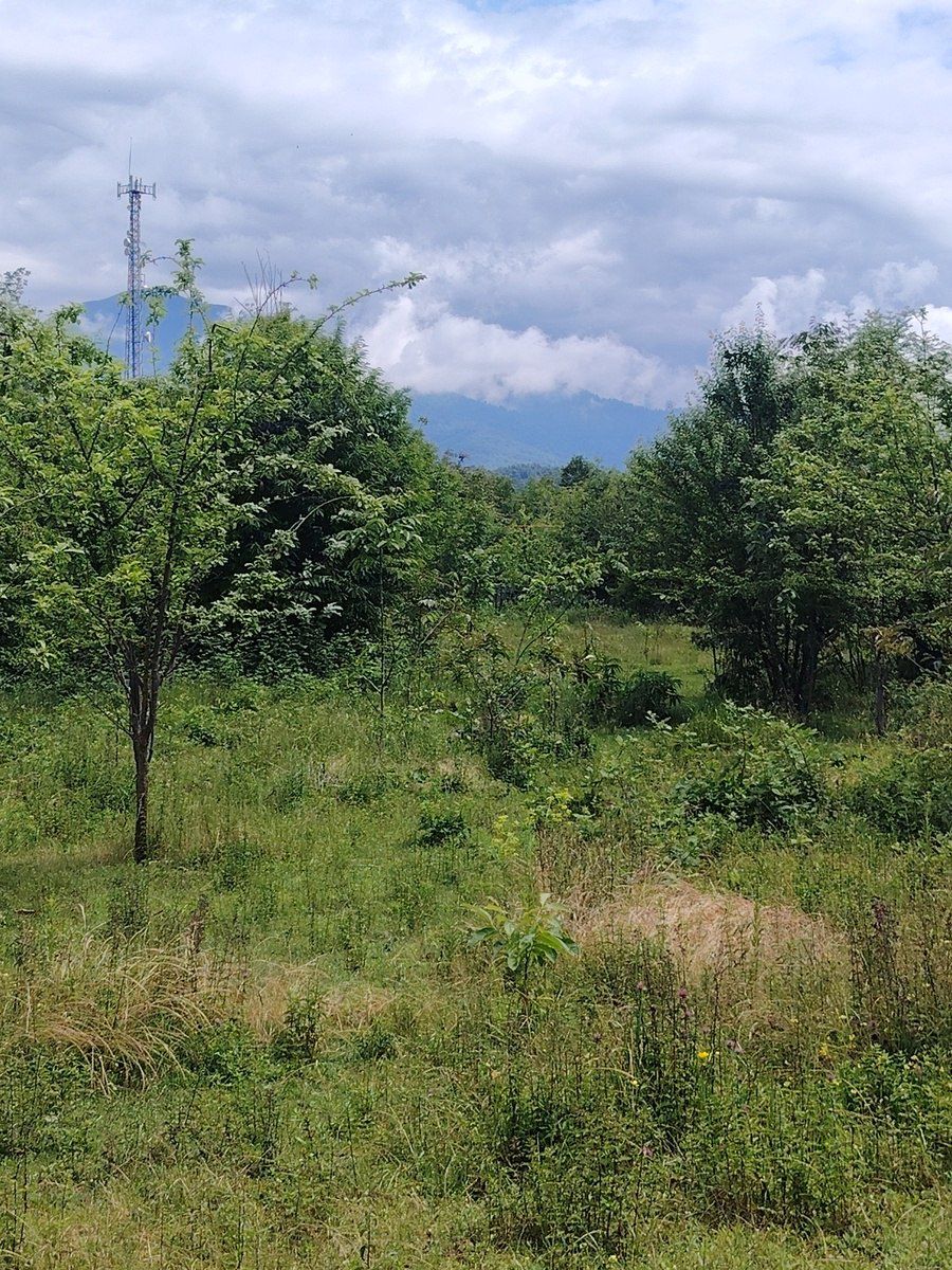 Satılır torpaq 20 sot — Torpaq, Qəbələ (7)