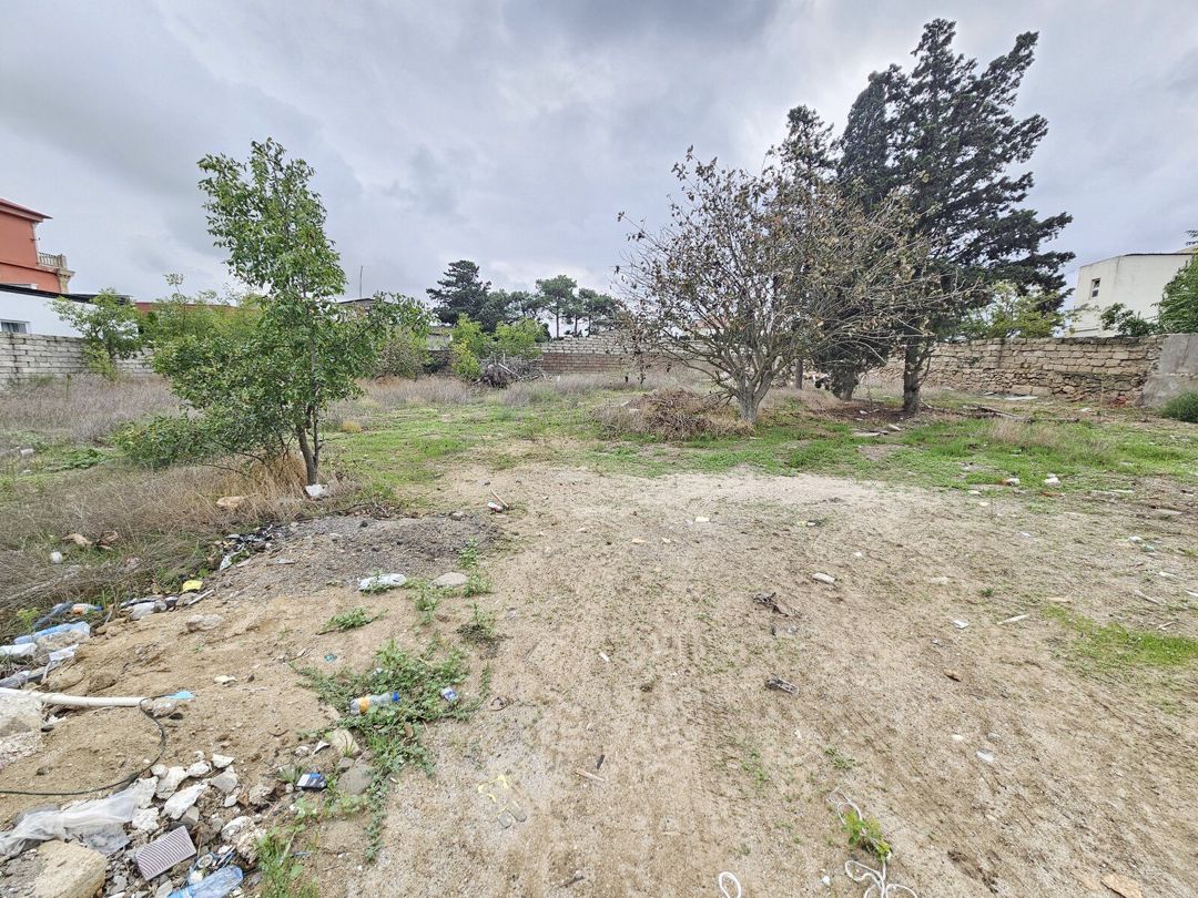 Satılır torpaq 3.1 sot — Torpaq, Bakı (5)