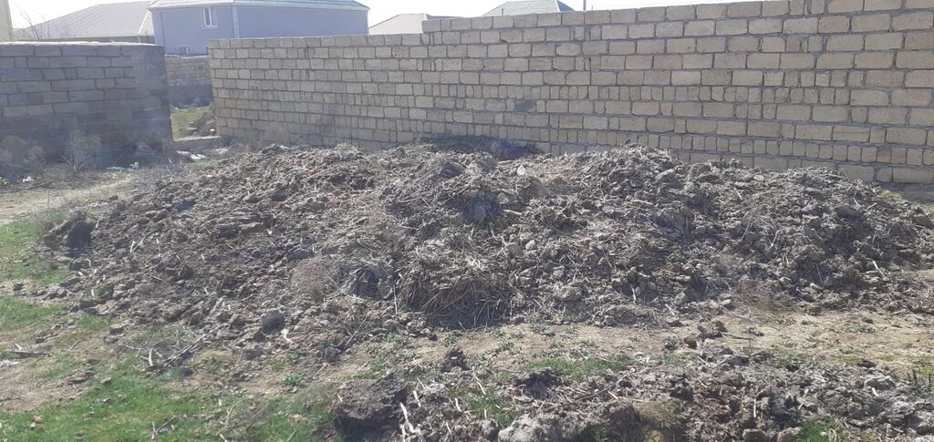 Temiz Hazir Yigilmis kiselerde Quru Peyin kisesi 3 m Cox alan olsa — Turba və gübrə, Qobu (7)