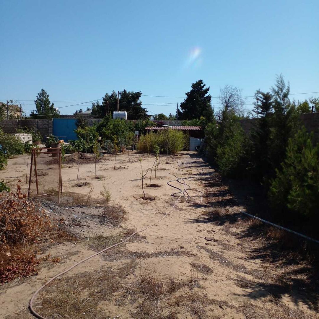 Satılır torpaq 14 sot — Torpaq, Bakı (4)