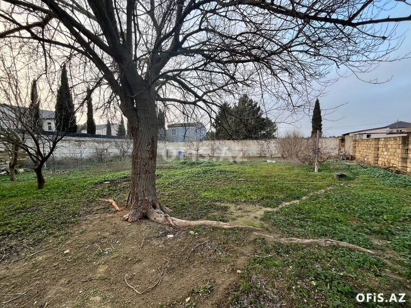Həyət evləri Satılır Xəzər r., Buzovna q., 3 otaq, 80 m² — Ev, villa, Bakı (4)