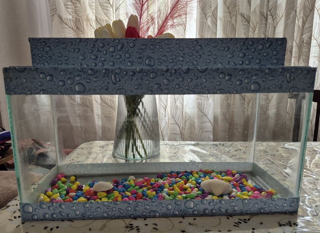 Məhsul 1: Şüşə akvarium dəsti - Material: şəffaf şüşə, dekorativ “su — Akvariumlar və balıqlar, Bakı