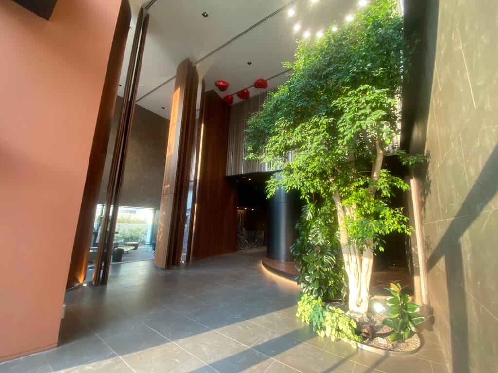 Satılır 4 otaqlı yeni tikili 249 m² — Mənzil, Bakı (5)