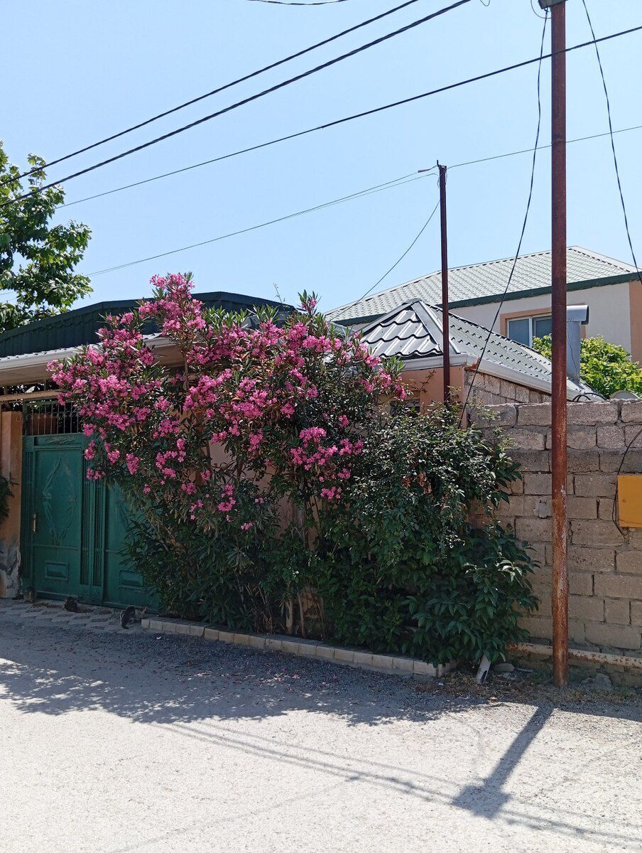 Həyət evi, Suraxanı qəs — Ev, villa, Bakı (2)