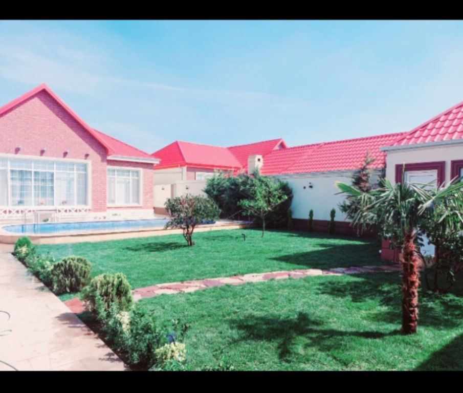 Qazon — Bitkilər, Bakı (3)