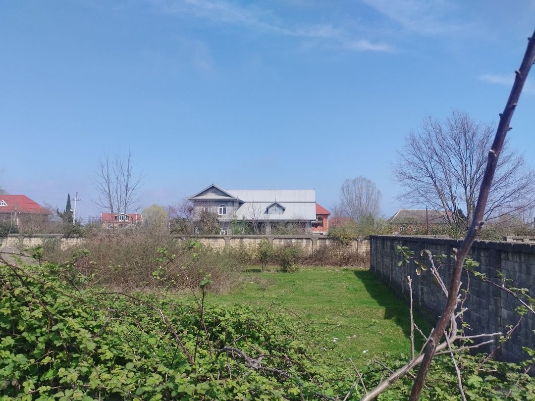 Satılır torpaq 6 sot — Torpaq, Lənkəran (3)