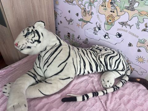 Oyuncaq şir — 15 AZN Yumşaq və böyük ölçülü oyuncaq vəhşi pişik — 15 ₼ · Bakı · Yumşaq oyuncaqlar Oyuncaq şir — 15 AZN Yumşaq və böyük ölçülü oyuncaq vəhşi pişik — Bakı