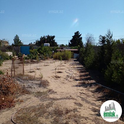 Satılır 14 sot torpaq Qala — Torpaq (8)