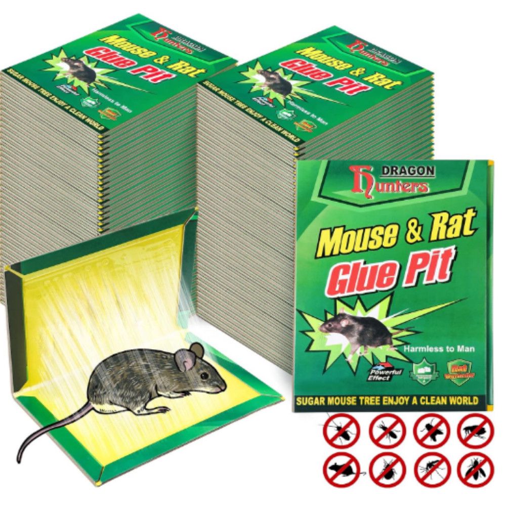 Siçanlar üçün yapışqan — Mallar, Bakı