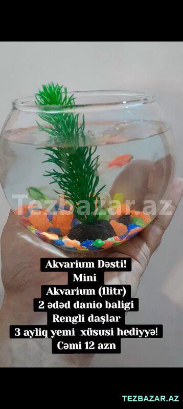 Akvarium dəsti — Akvariumlar və balıqlar, Bakı (2)