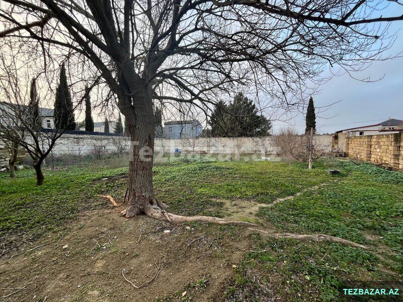 Buzovnada həyət evi satılır — Ev, villa, Bakı (2)
