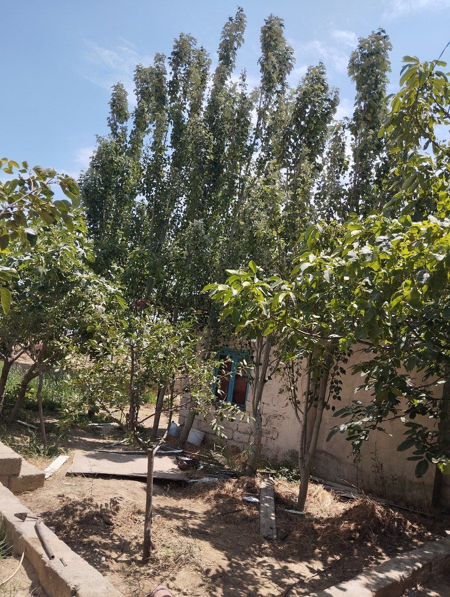 27 sot torpaq sahəsi, Badamdar qəs — Torpaq, Bakı (5)