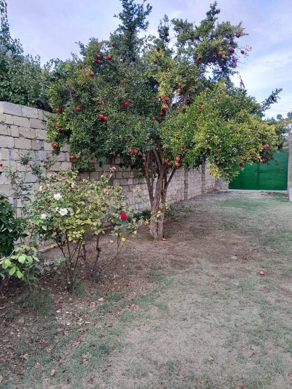 6 otaqlı, 175 kv. m, Kredit yoxdur, Orta təmir — Ev, villa, Şirvan (7)