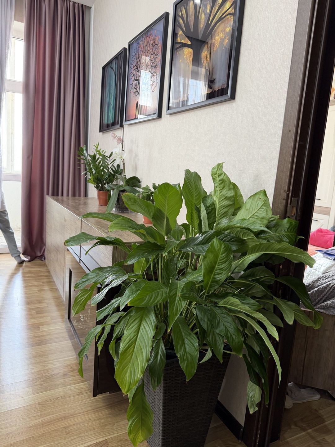 Satılır 3 otaqlı yeni tikili 77 m² — Mənzil, Bakı (4)