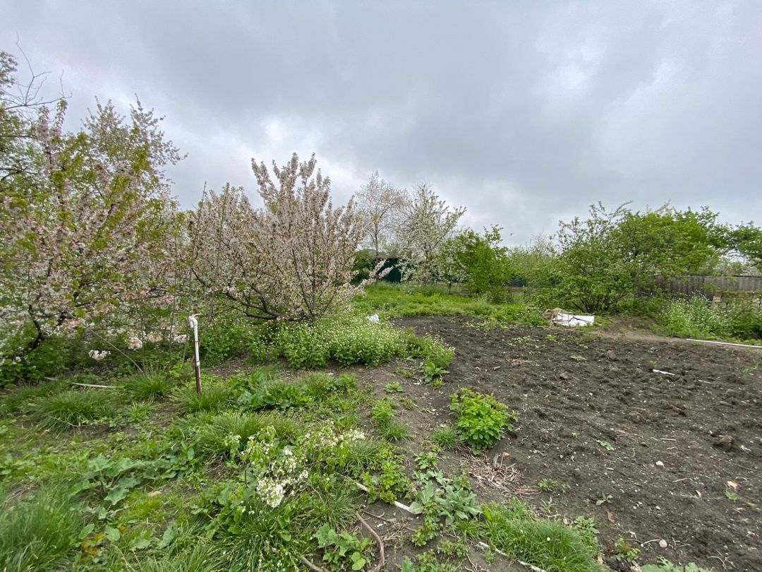 24 sot torpaq sahəsi, Alekseyevka kəndi — Torpaq, Quba (11)
