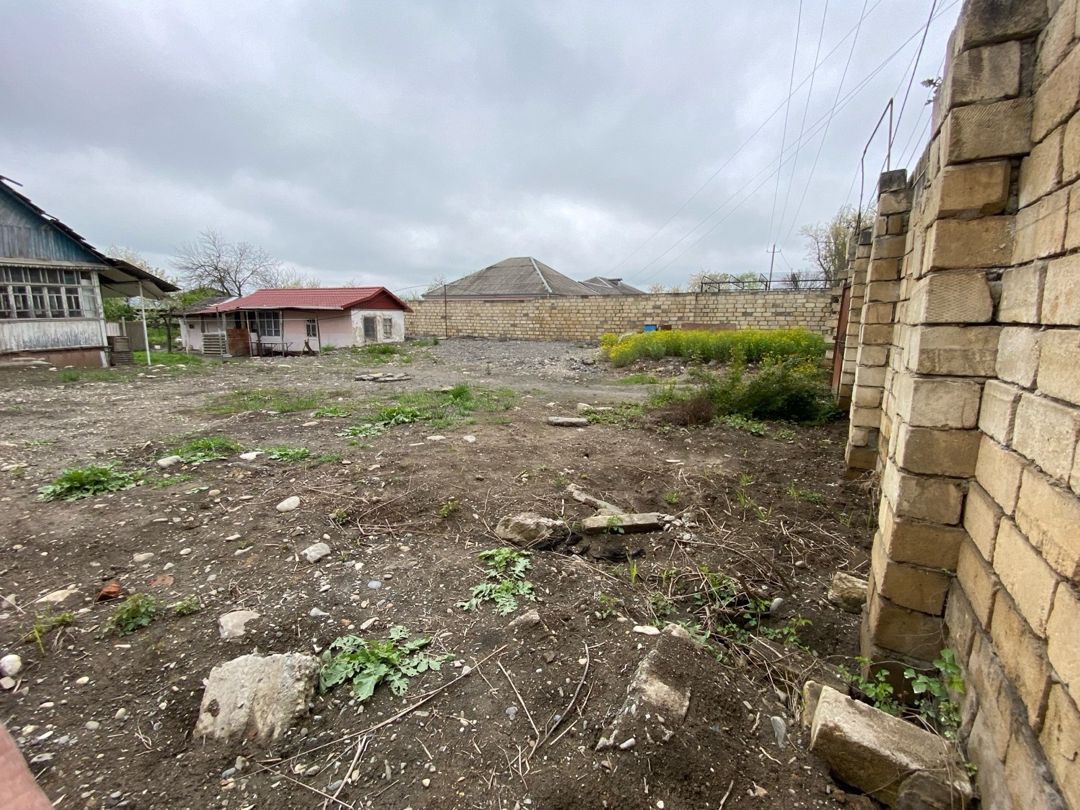 24 sot torpaq sahəsi, Alekseyevka kəndi — Torpaq, Quba (9)