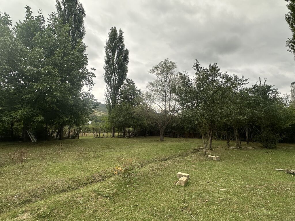 28 sot, Biznes üçün, Mülkiyyətçi, Kupça (Çıxarış) — Torpaq, Quba (5)