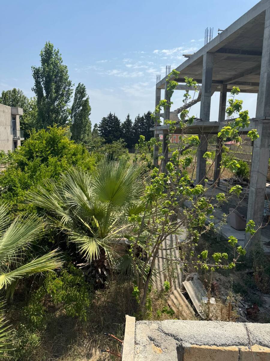 Satılır torpaq 500 sot — Torpaq, Bakı (4)