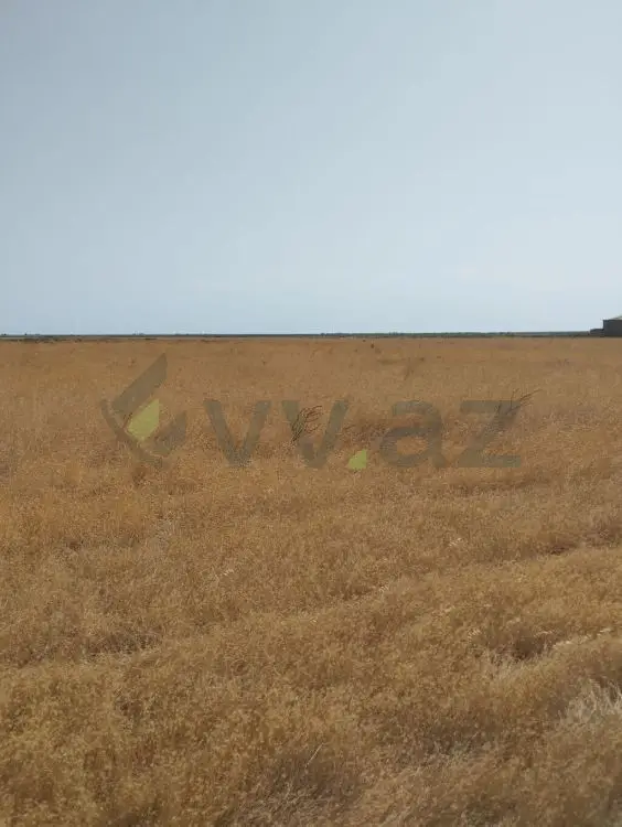 450 sot Torpaq Satılır, Xızı — Torpaq, Xızı (2)