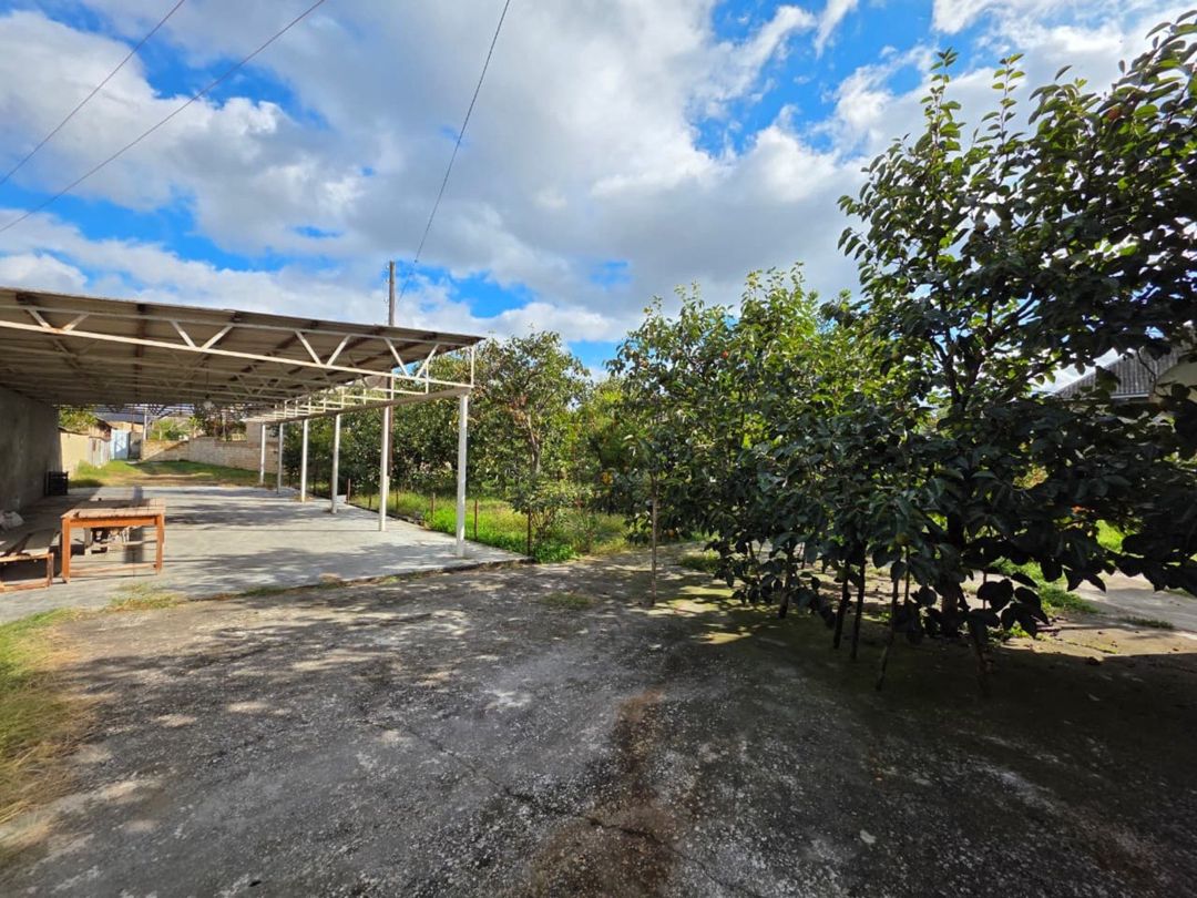 Satılır torpaq 40 sot — Torpaq, Göyçay (6)